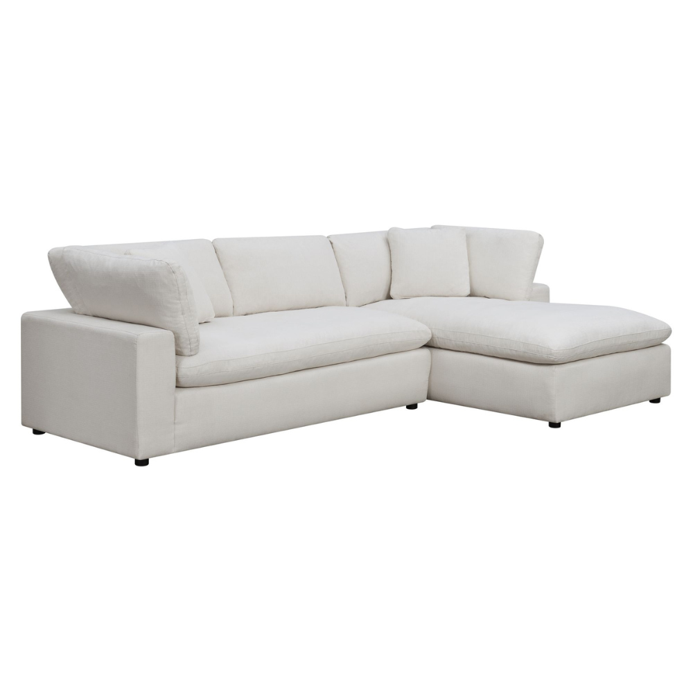 Cloud 9 Living Room 2-Piece Sectional