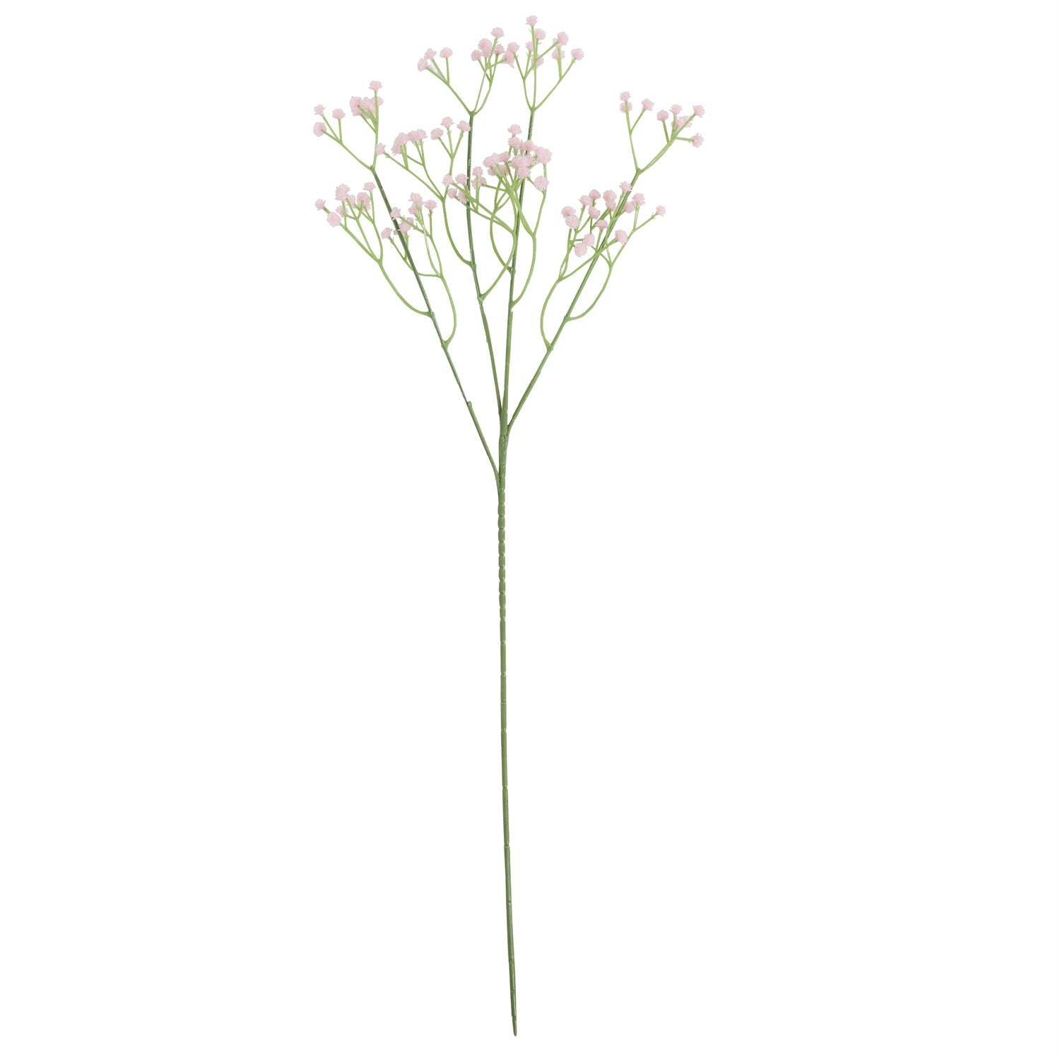 PlantsA-38P