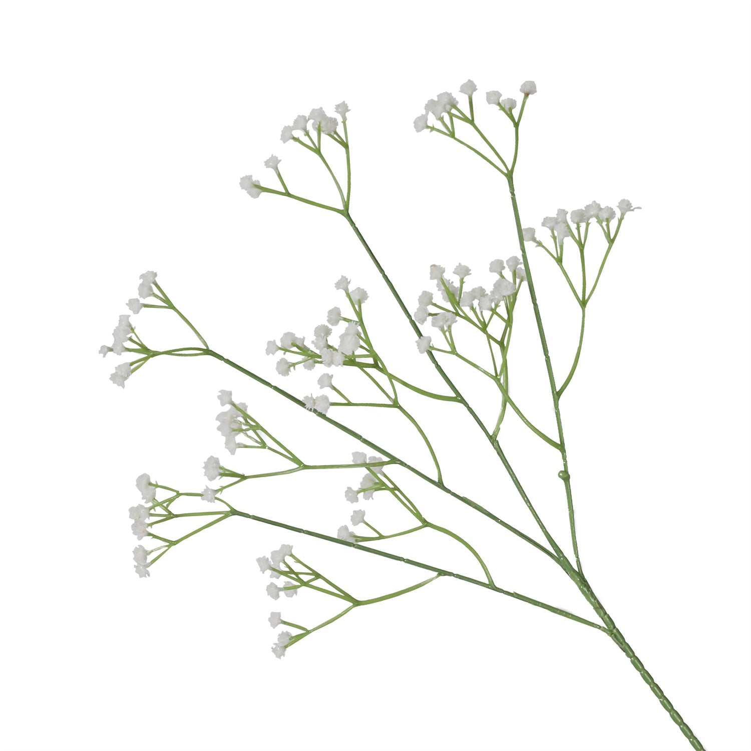 PlantsA-38W