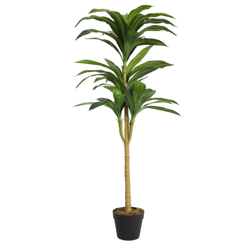 النباتات DYL-300