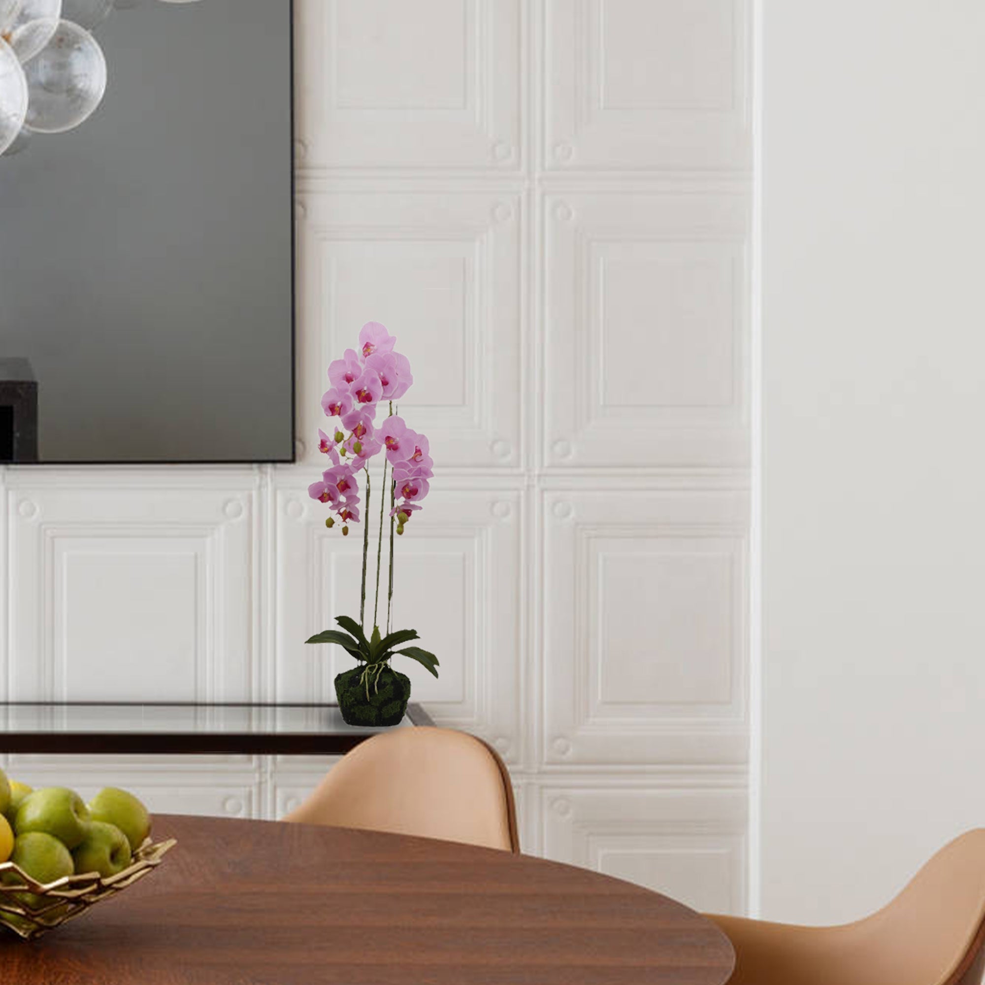 BUTTERFLY ORCHID (6638759641184)