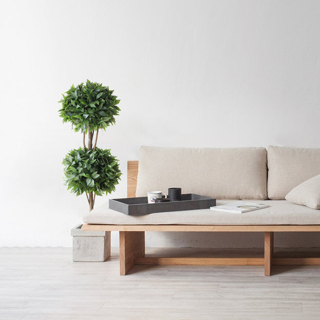 Laurel tree double ball topiary (6638759772256)