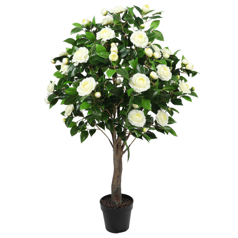 النباتات TCC-132-1