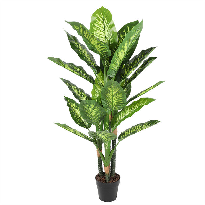 نباتات TCE-23