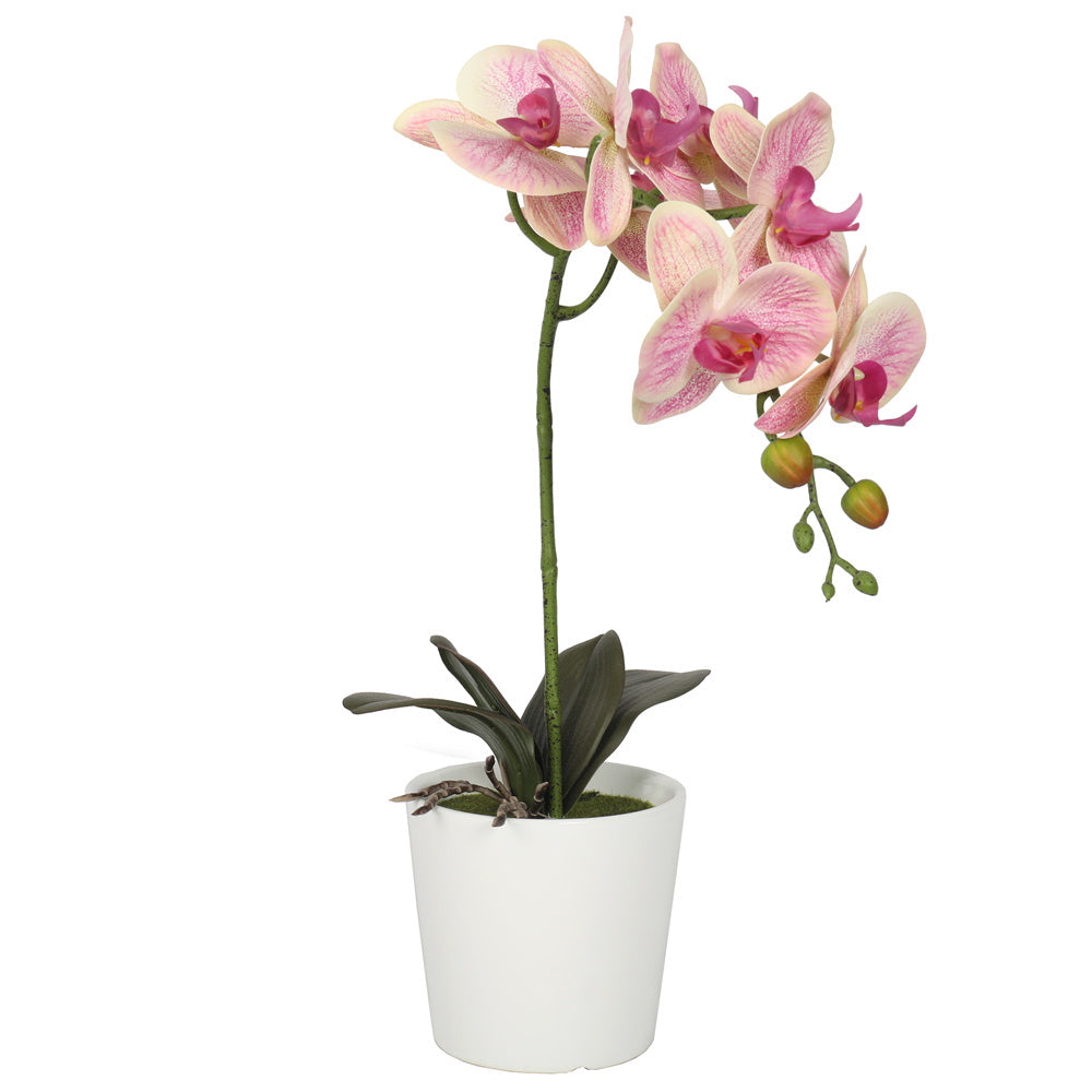 Artificial Potted Orchids Pink Red 48CM Indoor
