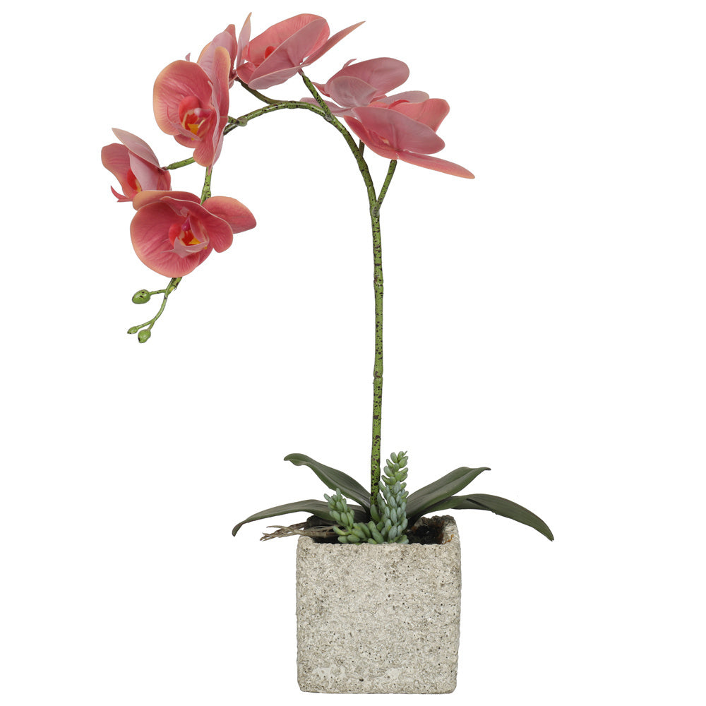 Artificial Potted Orchids 49CM Indoor Dark Pink