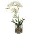 Artificial Potted Orchids 47CM Indoor White Flower with Grass Pot (6646806511712)