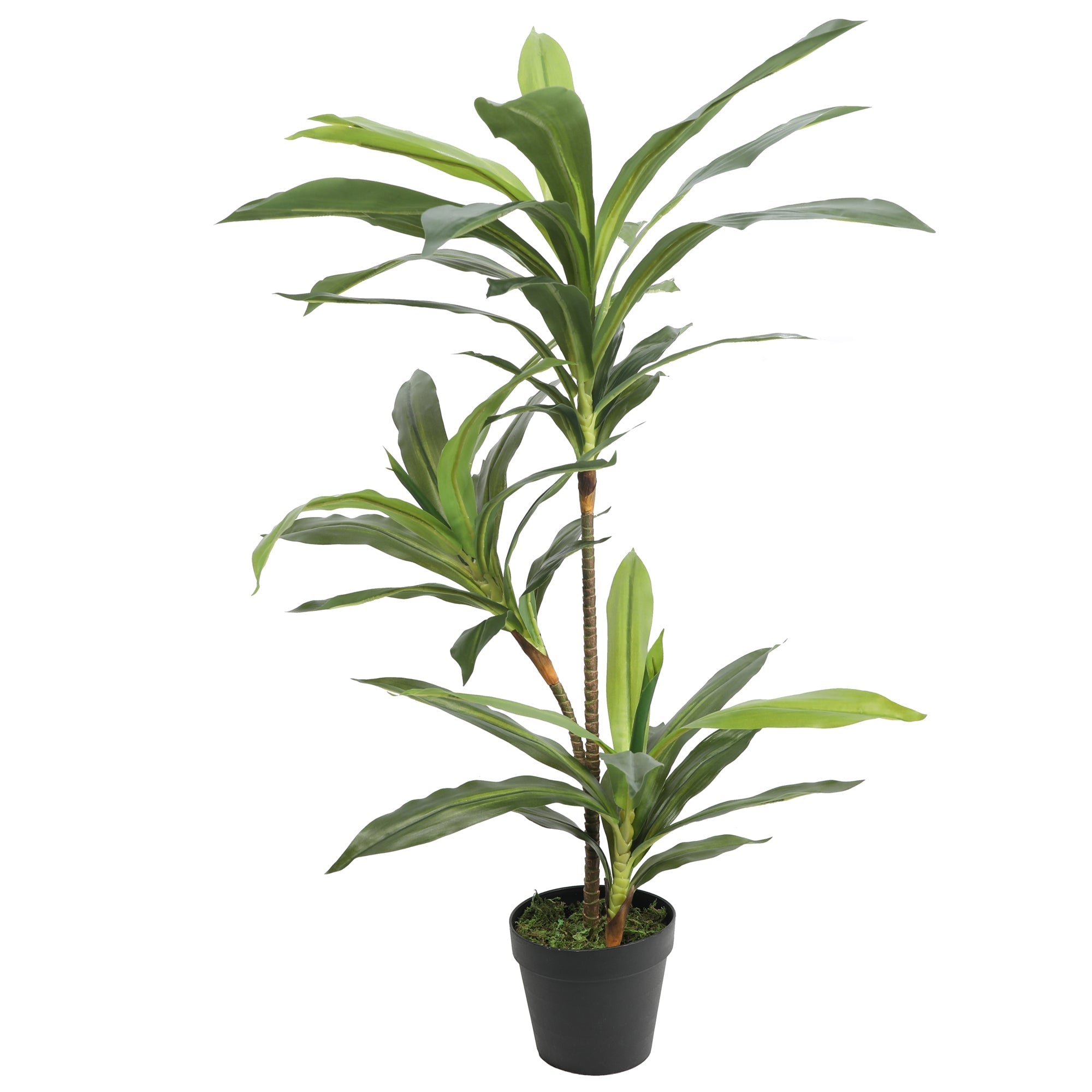 Artificial Dracaena Plants 90CM 50 Leaves