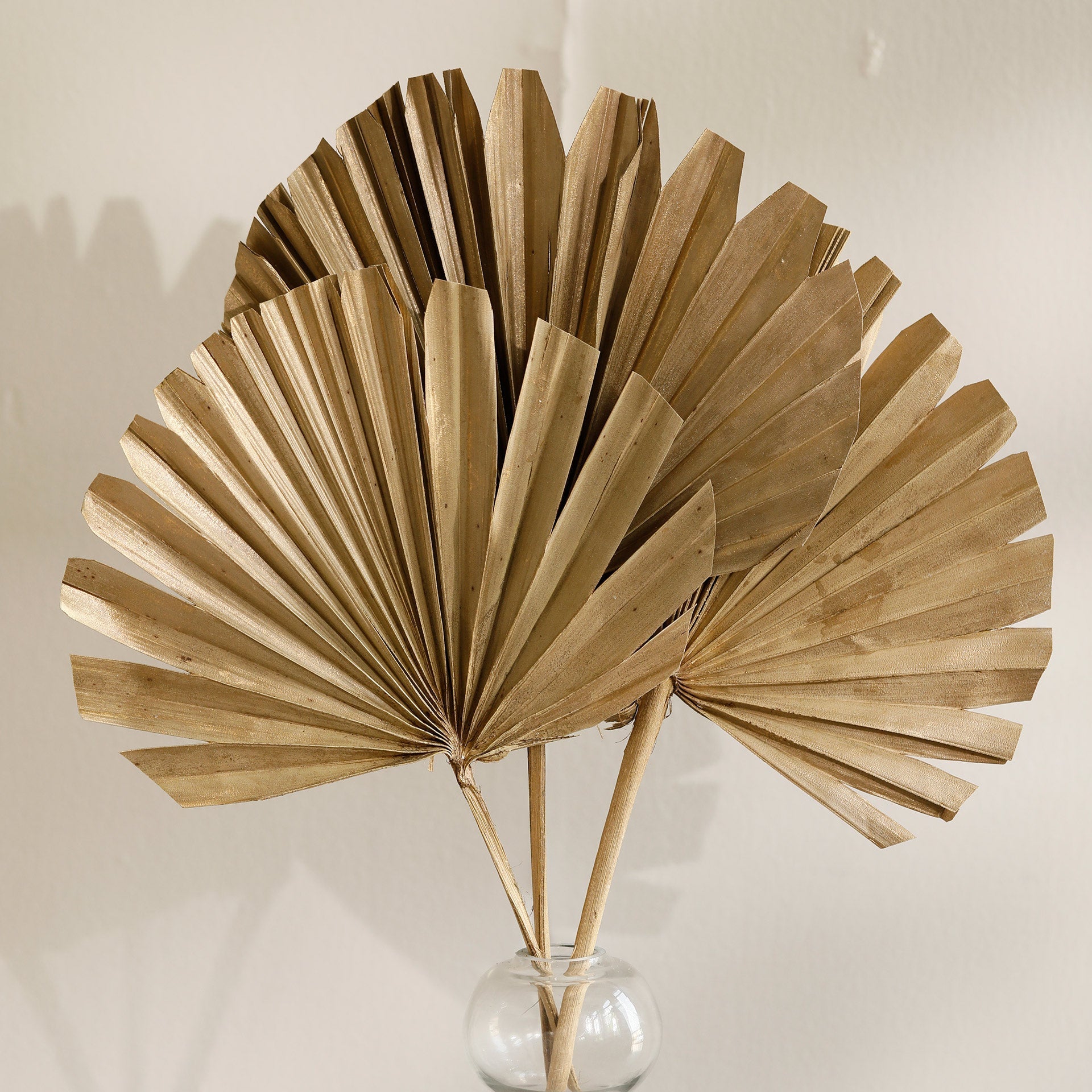 Malar gold sun palms set of 3