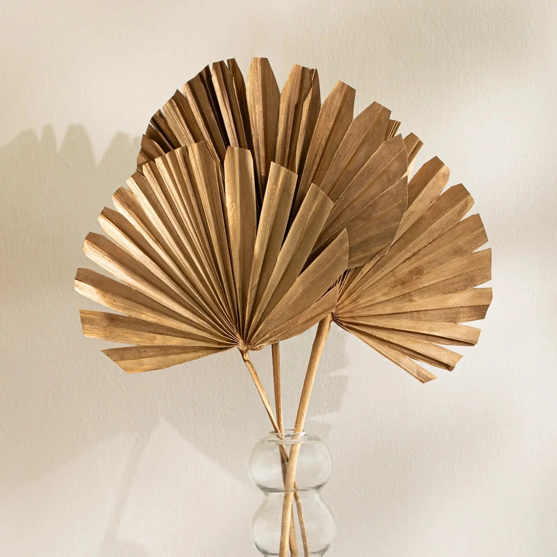 Malar gold sun palms set of 3