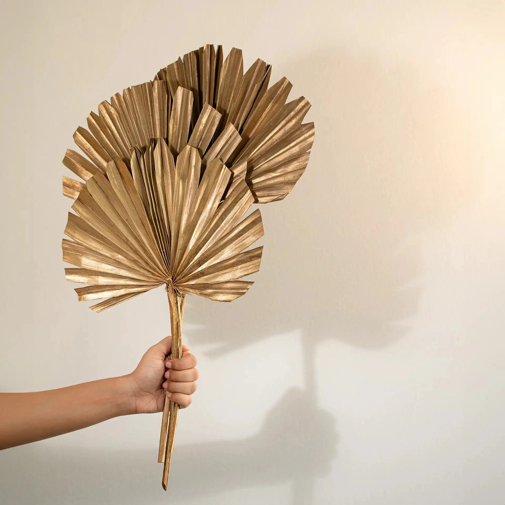 Malar gold sun palms set of 3