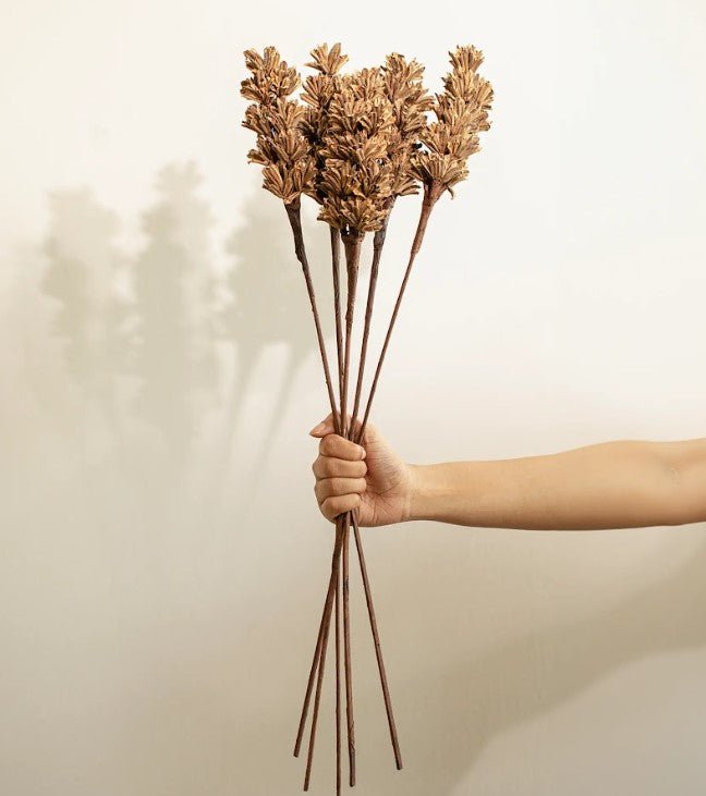 Malar sesame seed brown Set of 5