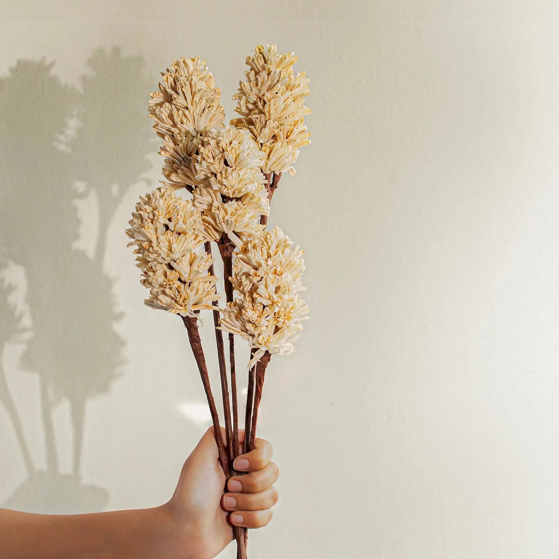 Malar sesame seed white set of 5