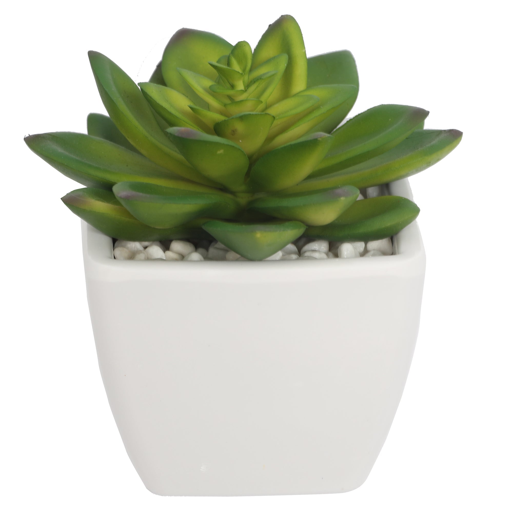 Mini Artificial Succulent Plants In Pots 12CM