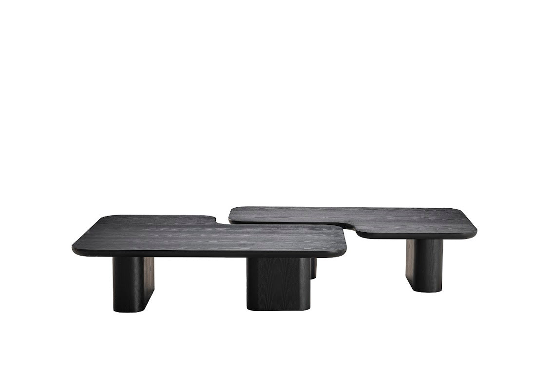 Moyn Coffee Table