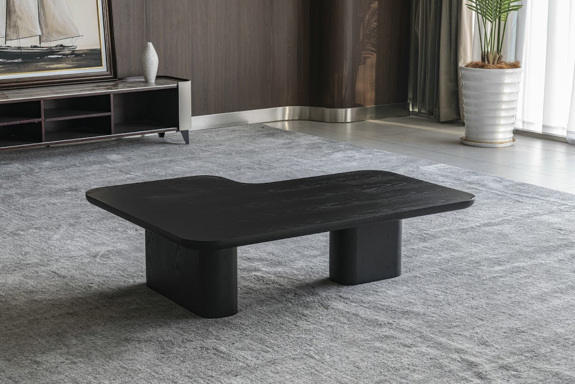 Moyn Coffee Table