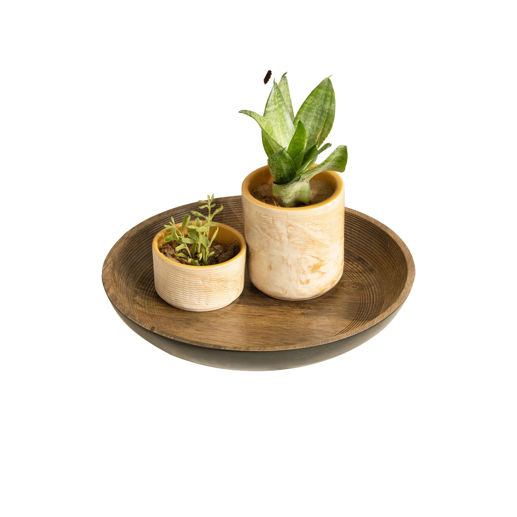 Orbis Round Shallow Bowl Large