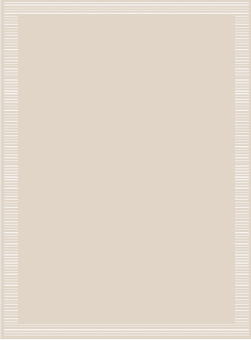 Rug 240*340 cm