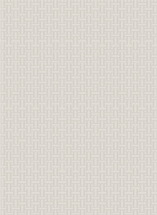 Rug 240*340 cm