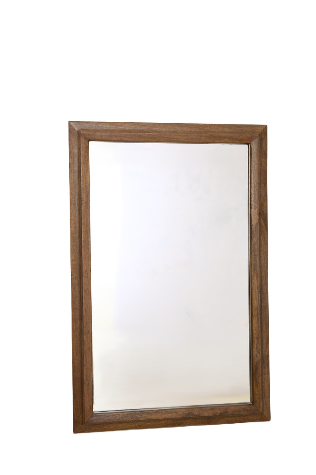 Mirror 1106WWN