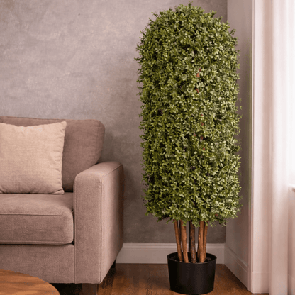 150CM Height Buxus Column Tree Outdoor UV Protected