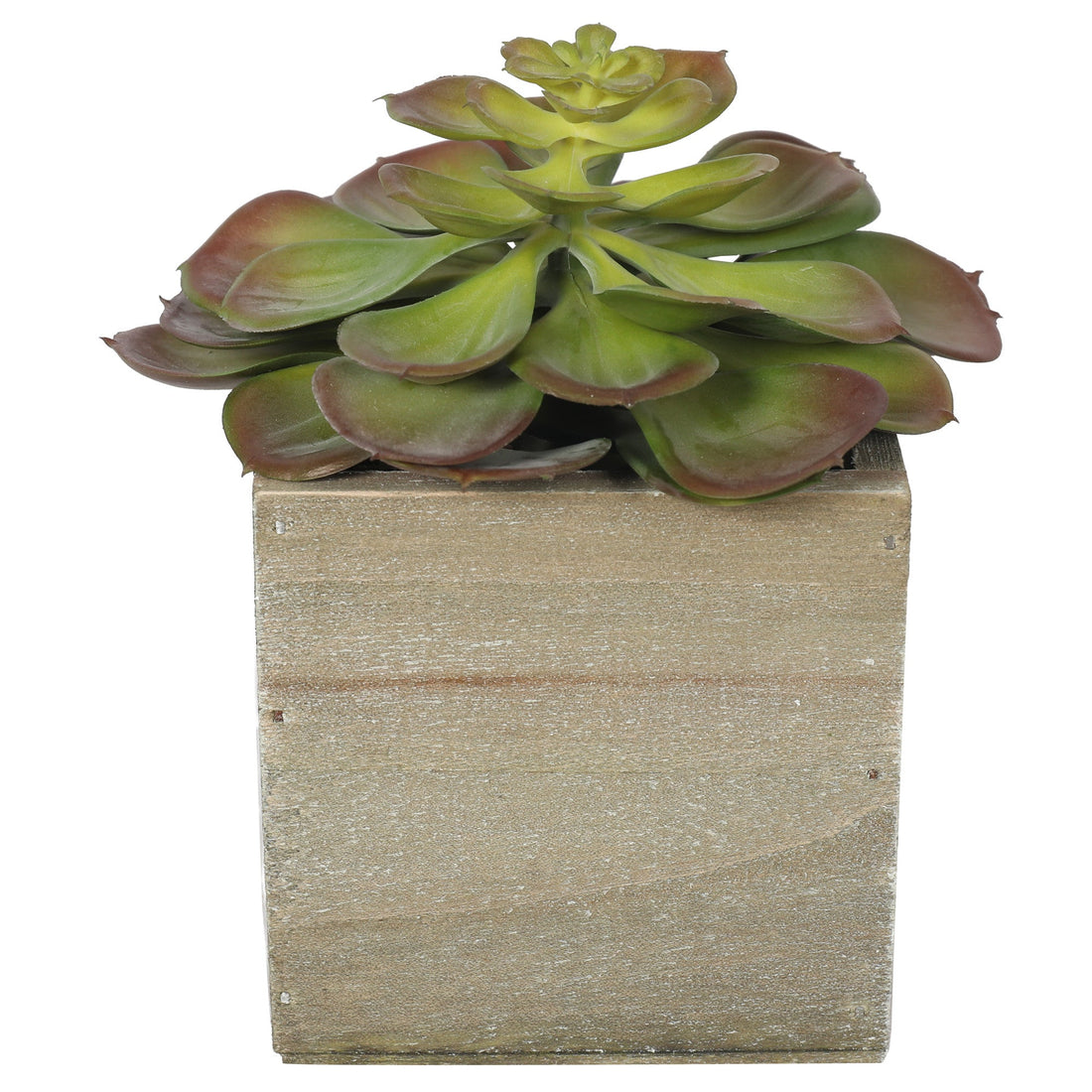 Artificial Potted Succulent Plants 16CM Indoo (6536501133408)