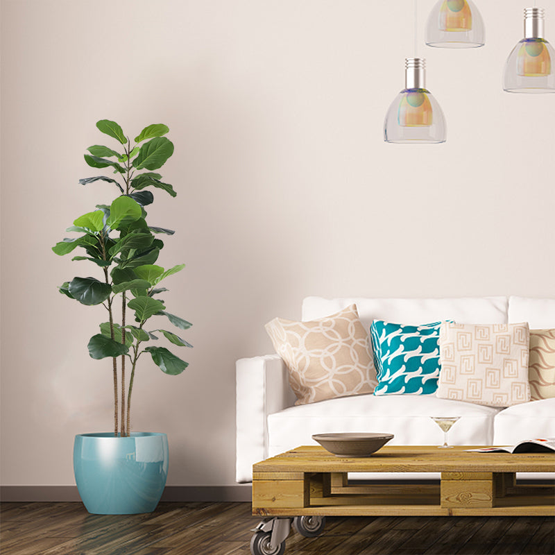 Fiddle tree (6646340681824)