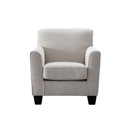 Dillon Grey Living Room Set + FREE RUG