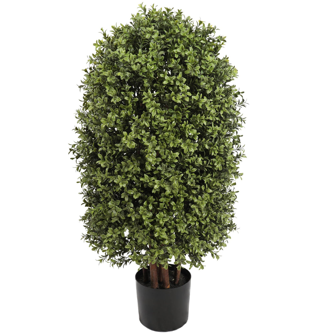 90CM Height Buxus Column Tree Outdoor UV Protected