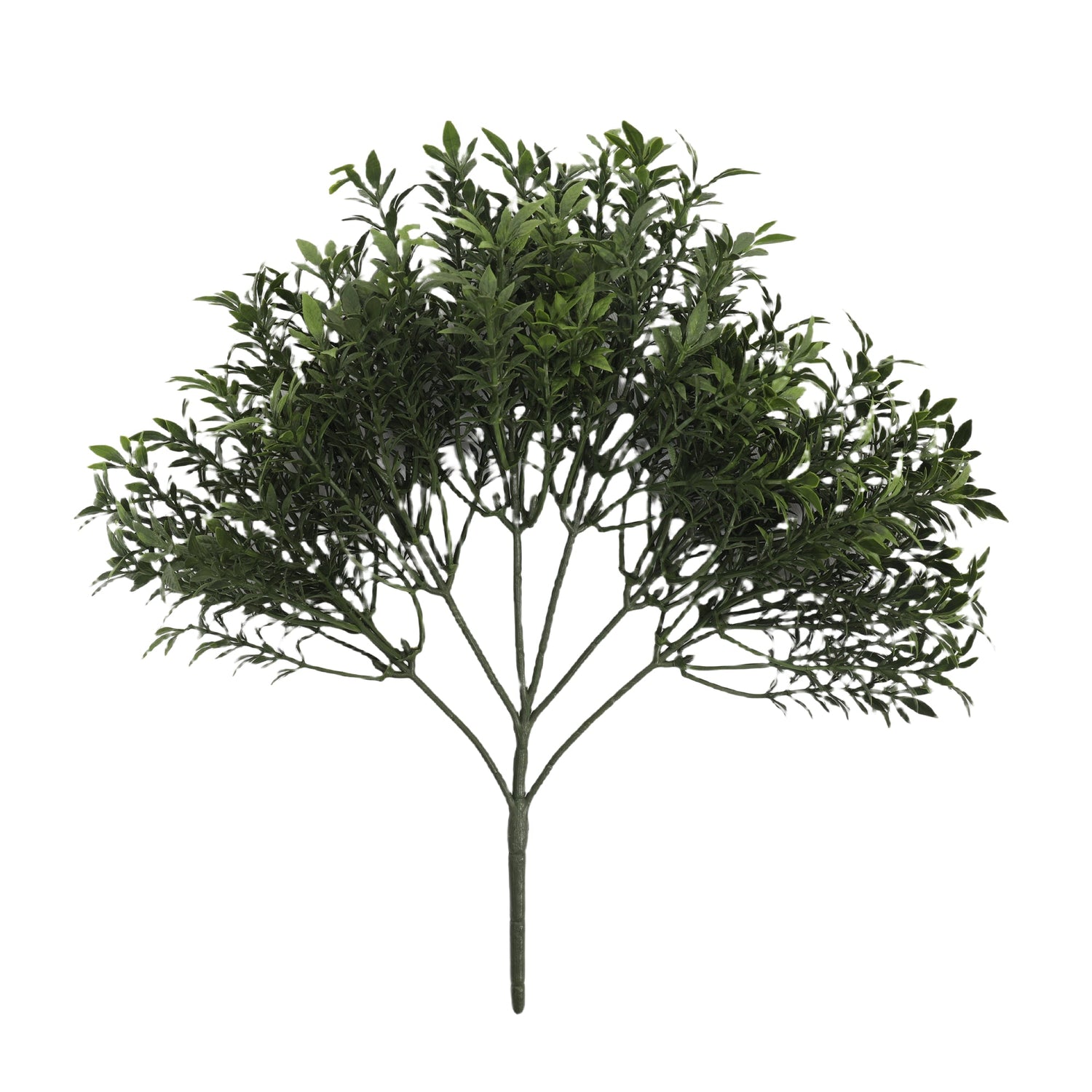 Tea Foliage Bush