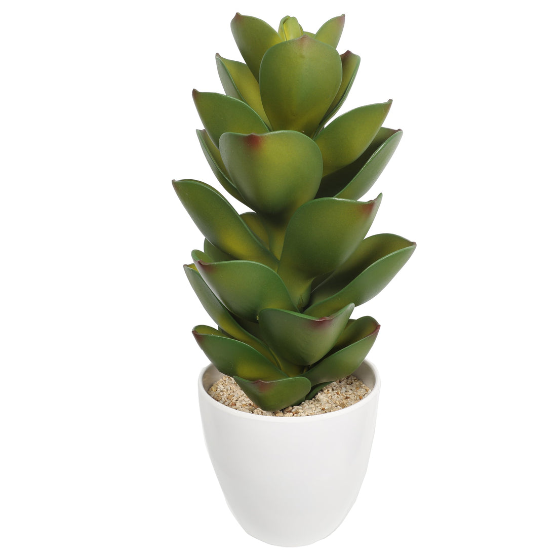 Succulent plants in plastic pot DYJT-303