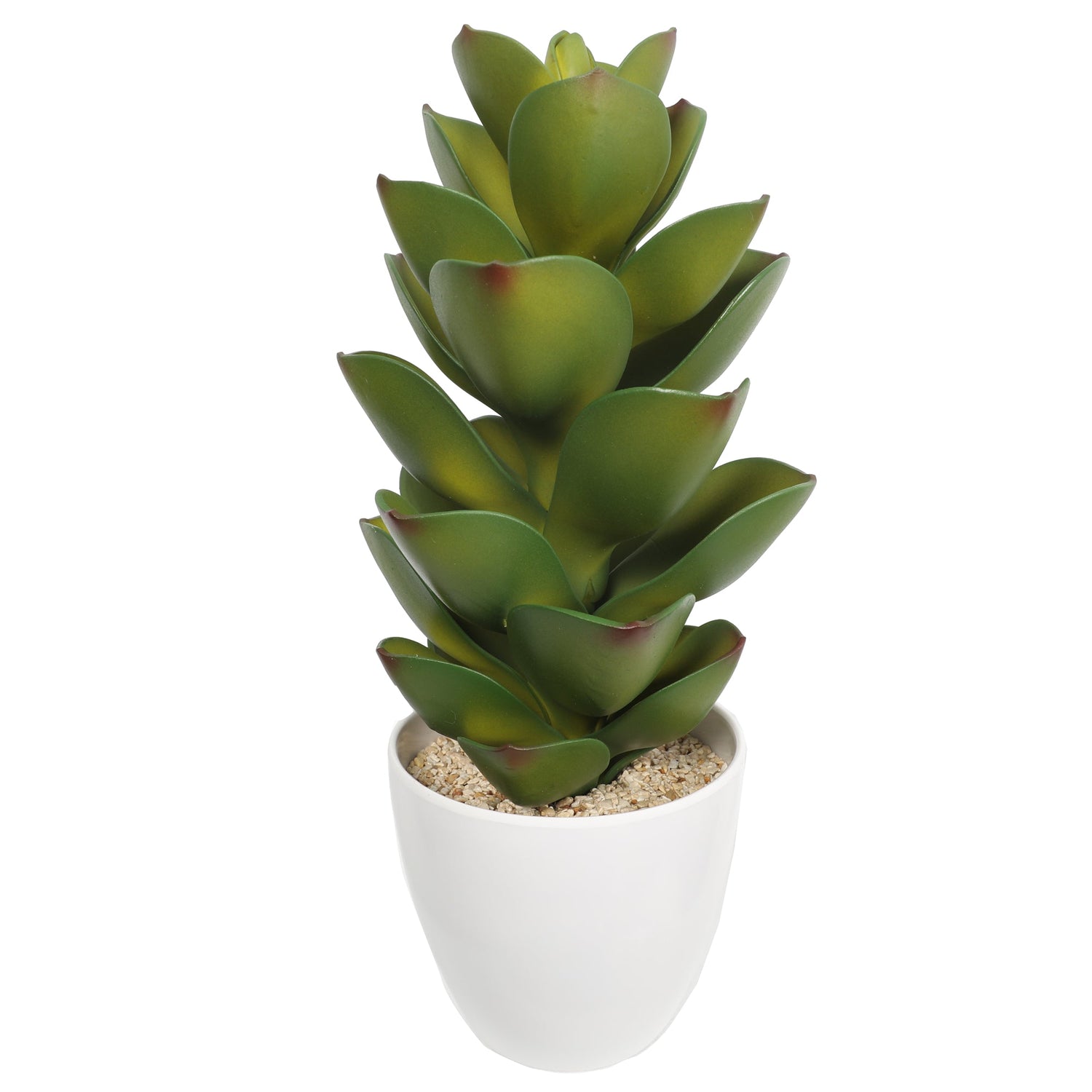 Succulent plants in plastic pot DYJT-303