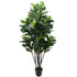 Gourd Tree 228LVS 12T  (Fiddle Leaf Figs Tree) (6646806020192)
