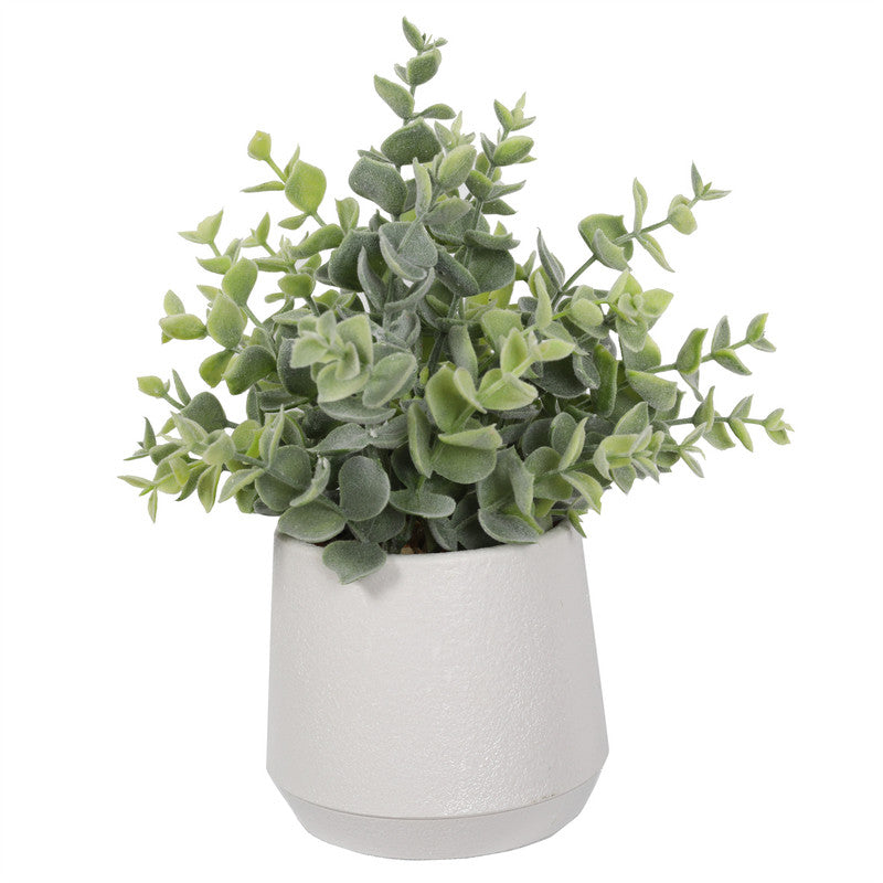 PlantsDYPA-165