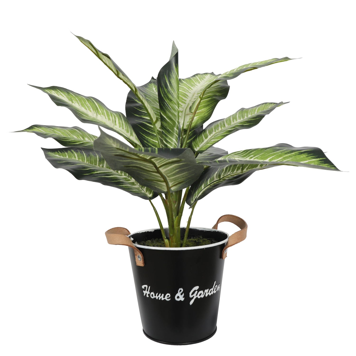 Evergreen White Green 39CM