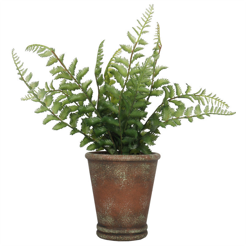 PlantsDYPA-90