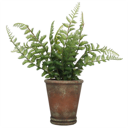 Fern 38CM