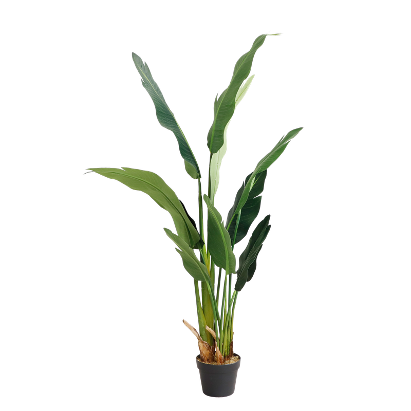 banana tree - 150cm KD7314-150-22