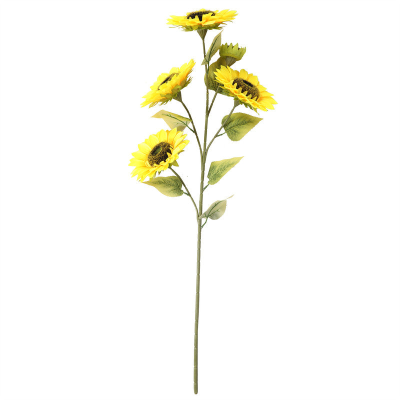 Sunflowers Q-10