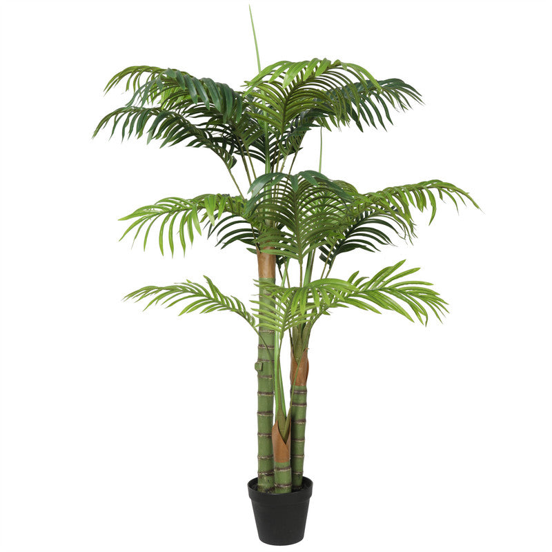 PlantsTCB-177