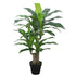 Premium Artificial Green Dracaena Tree 90CM Indoor (6646806085728)