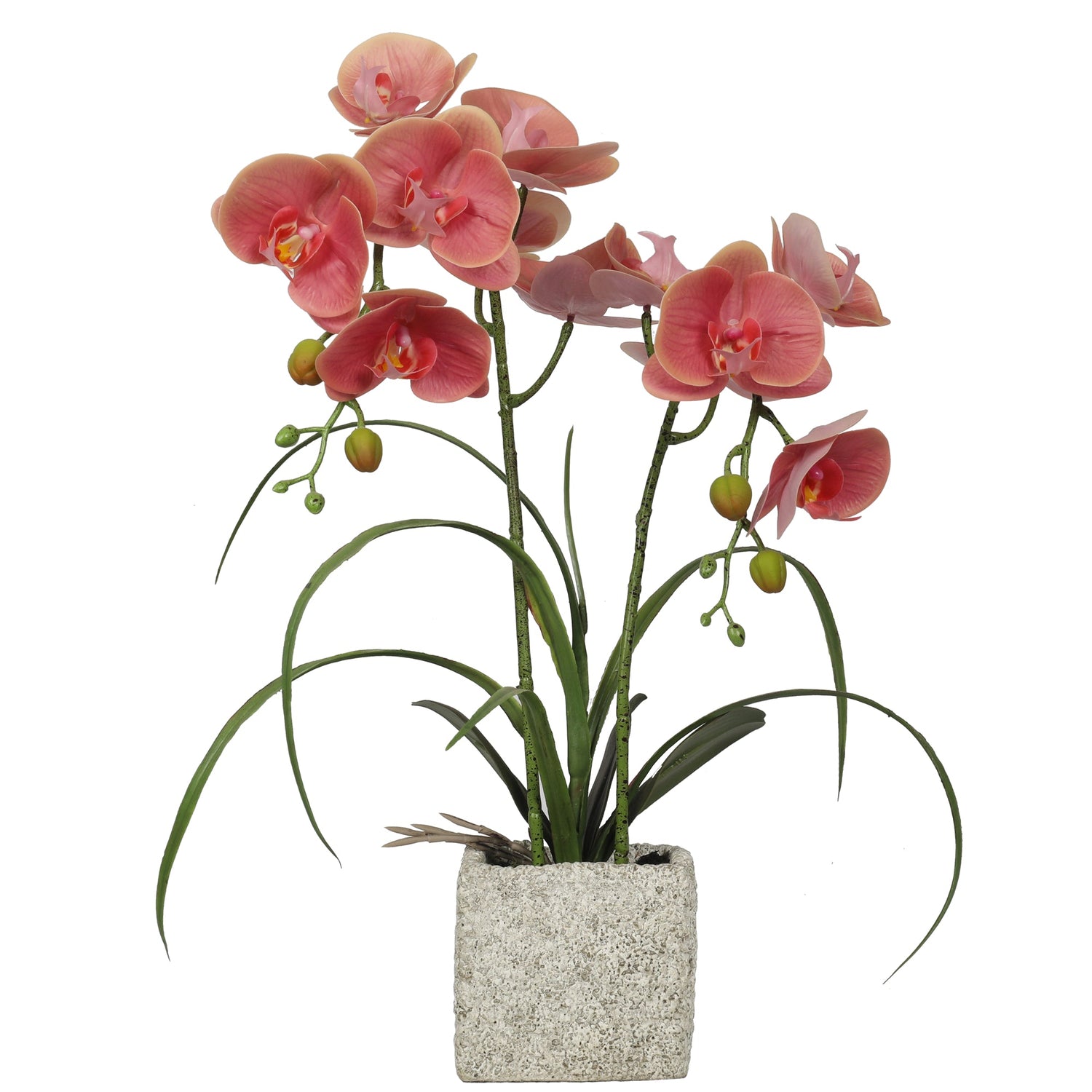Artificial Potted Orchids 51CM Indoor Champagne