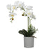 Nice Potted Artificial Orchids Bonsai 50CM (6646806380640)