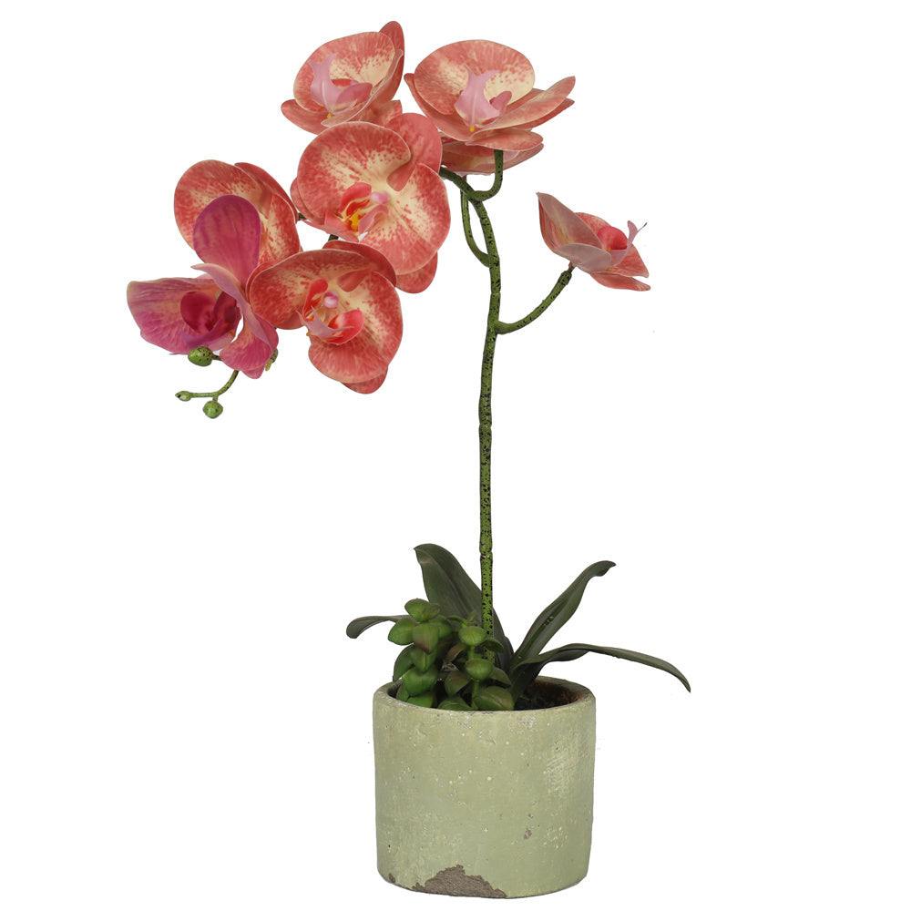 Artificial Potted Orchids 46CM Indoor Champagne