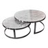 Silver Marble Coffee Table (6557164109920)