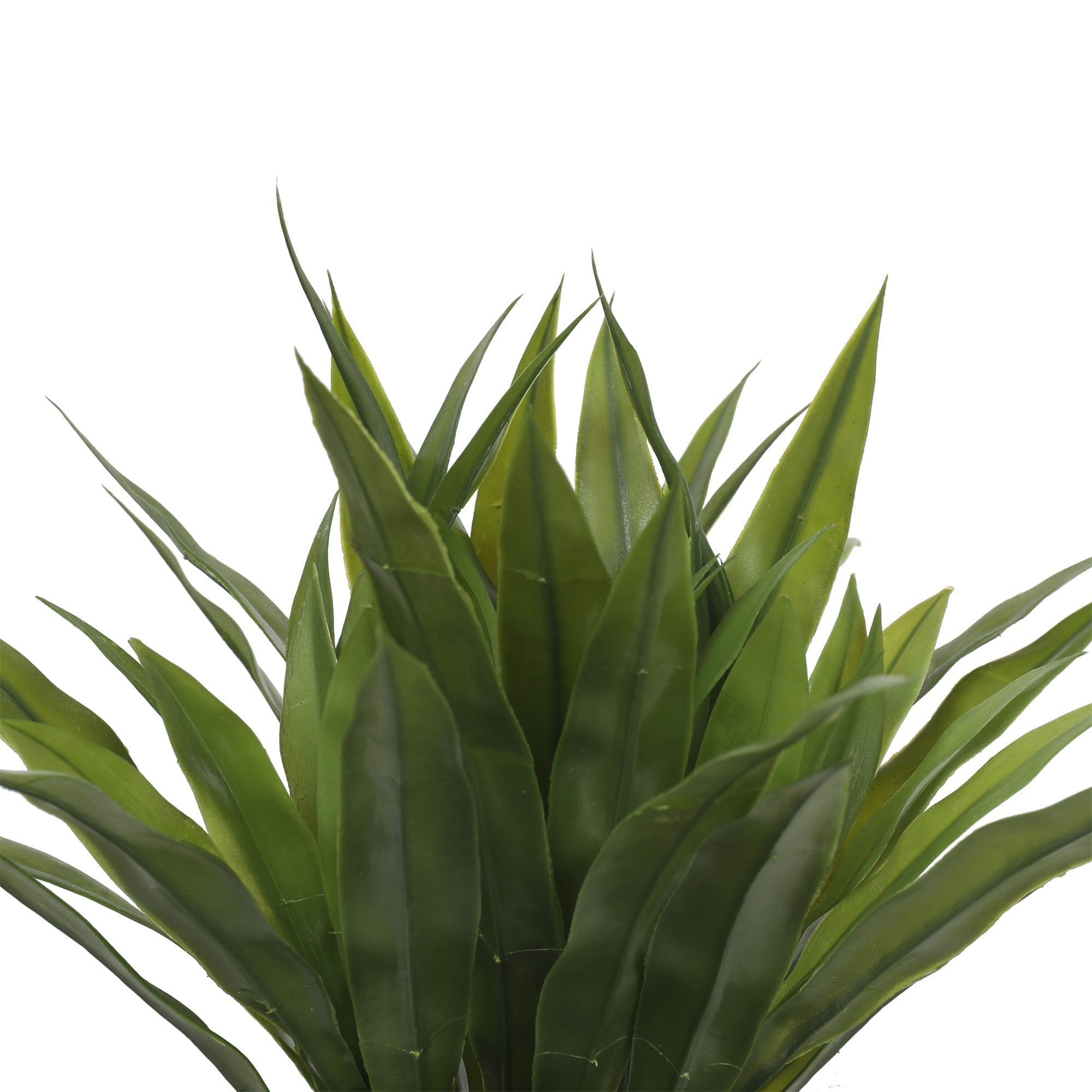 Agave Bush 40CM