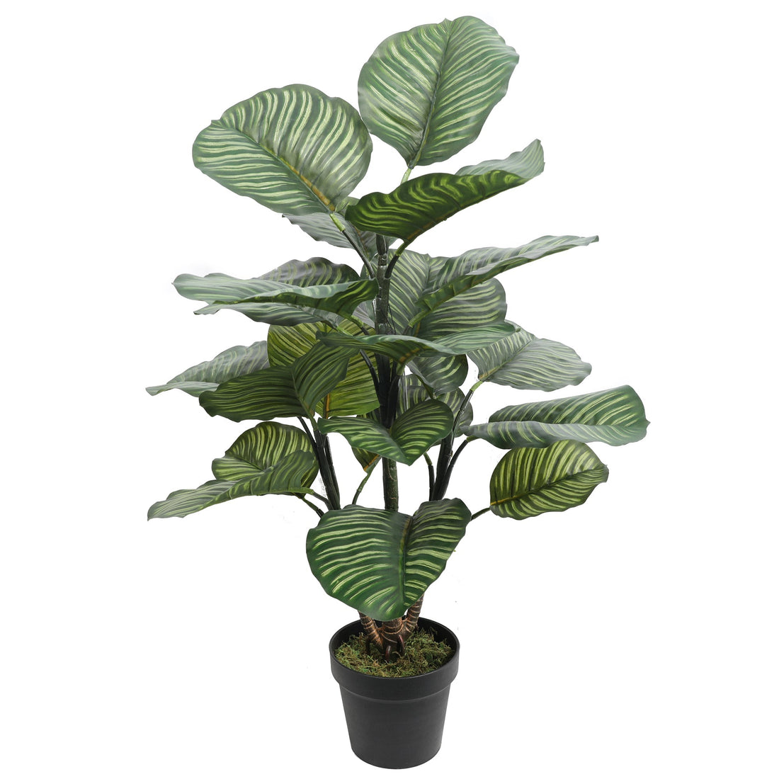 Artificial Calathea Rotundifolia 102CM Height