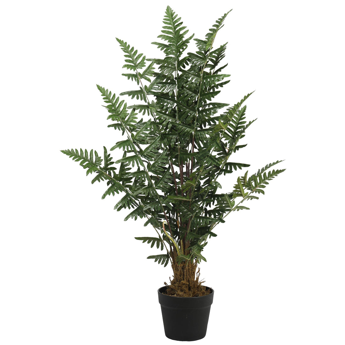 Artificial Cyathea Spp Tree 90CM Indoor
