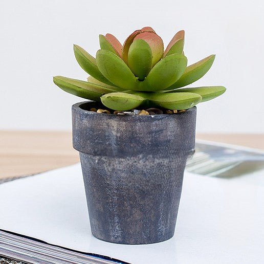 Artificial Potted Succulent Plants 12.5CM Indoor
