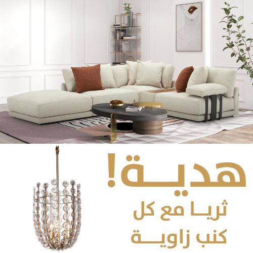 Freiburger Sectional + Free CHANDELIER